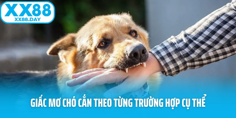 Giấc mơ chó cắn theo từng trường hợp cụ thể