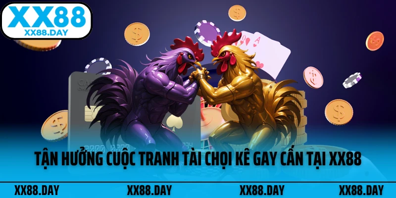 tan-huong-cuoc-tranh-tai-choi-ke-gay-can-tai-xx88